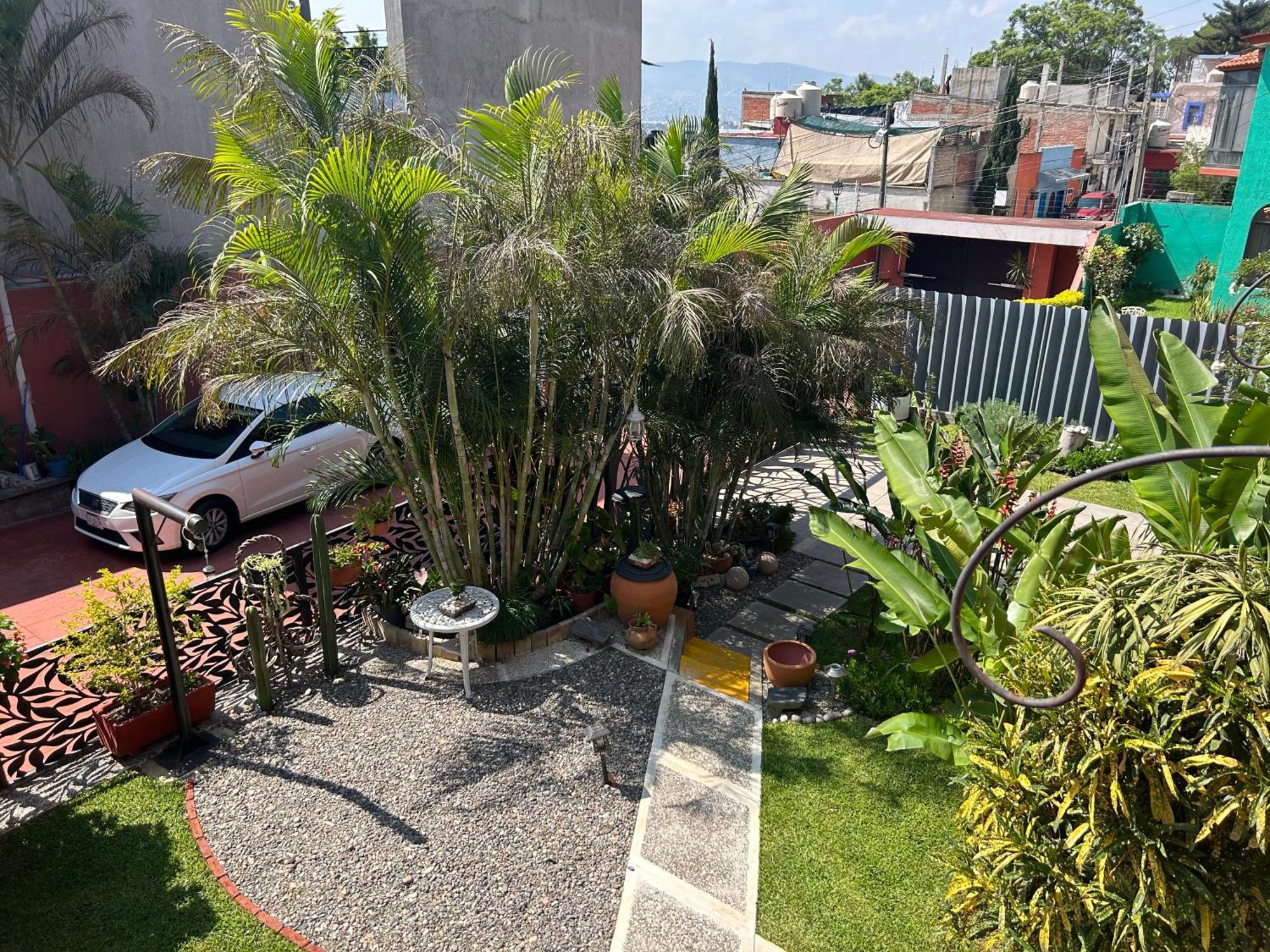 Casa De Las Palmas Guest House Oaxaca Exterior photo